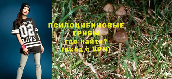 крисы Краснотурьинск