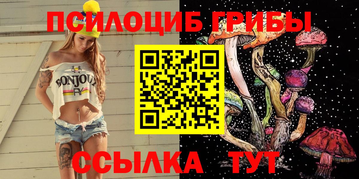 Псилоцибиновые грибы мицелий  Вход с VPN  Гулькевичи 