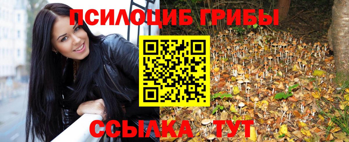 Галлюциногенные грибы Cubensis  как найти   Галлюциногенные грибы MAGIC MUSHROOMS  Гулькевичи 